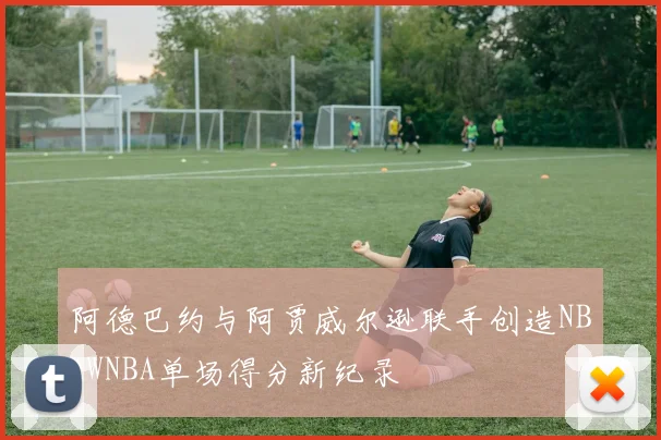 阿德巴约与阿贾威尔逊联手创造NBAWNBA单场得分新纪录